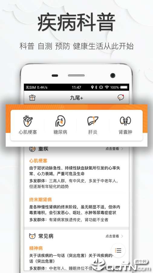 十尾九尾多保教普通人选保险