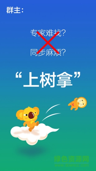 大树专家