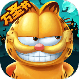 我的加菲猫