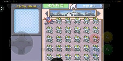 口袋妖怪：永恒之沫