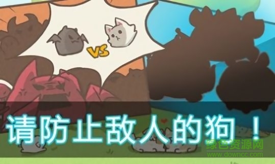 喂养小狗