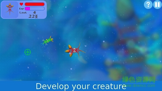 Evolution of Species: Spore