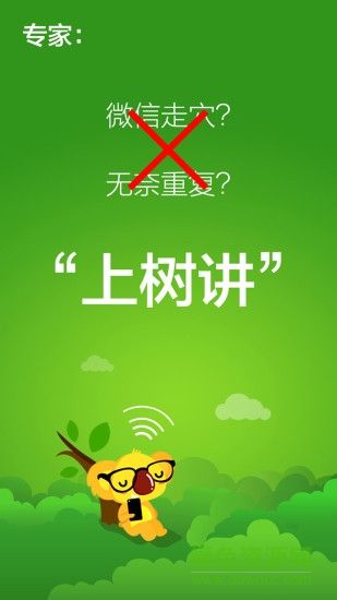 大树专家