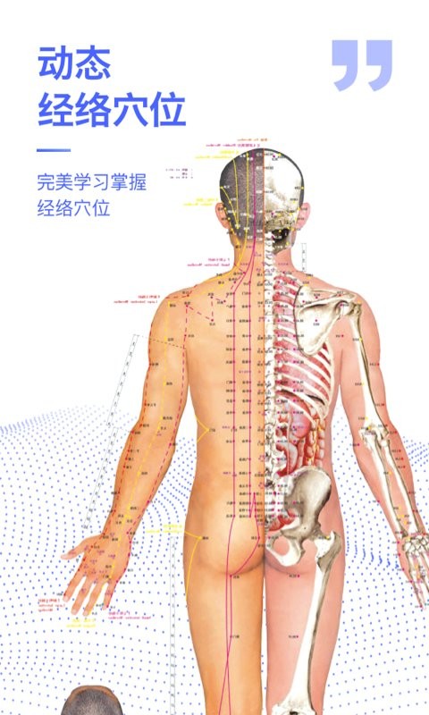 人体3D解剖图谱