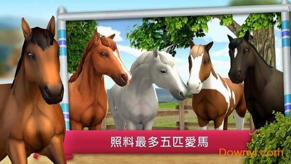 骑马越障比赛修改版(showjumping)
