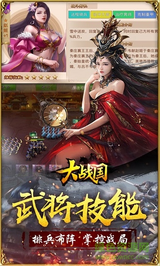 大战国畅玩版