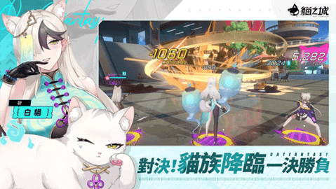 猫之城