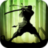 Shadow Fight 2