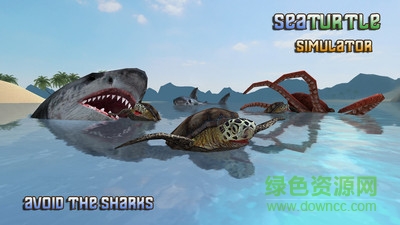 海龟模拟器