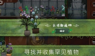 奇异园艺
