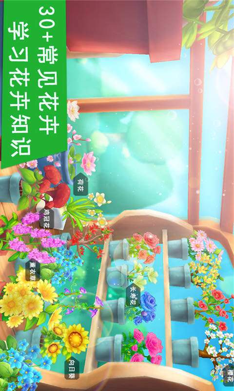 花花世界