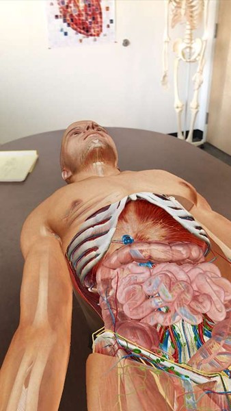 atlas人体解剖学图谱2023最新版(Human Anatomy Atlas 2023)