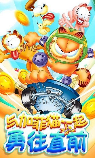 我的加菲猫