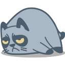 懒猫背单词