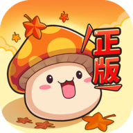 冒险岛：联盟的意志