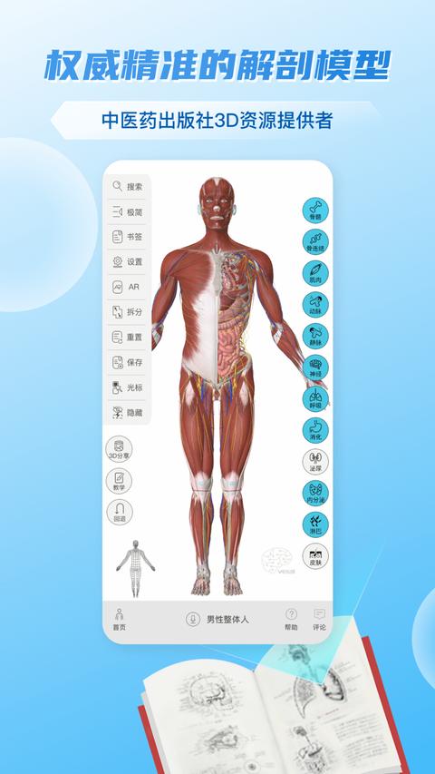 维萨里3D解剖