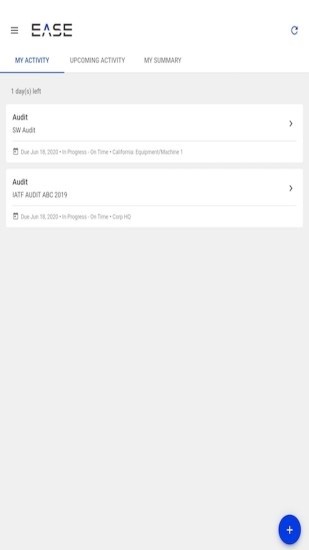 EASE Audits
