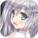 Lucy安装器