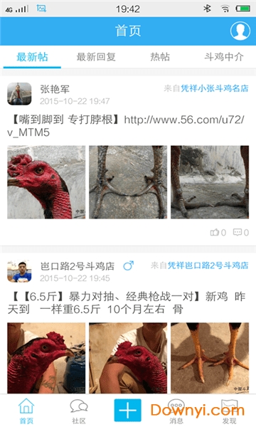 中国斗鸡论坛