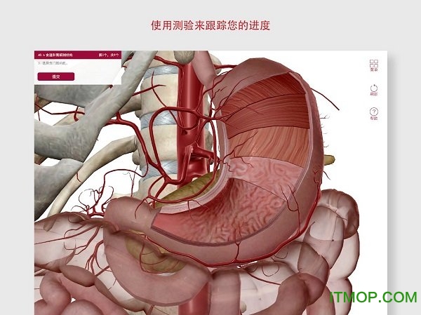 anatomy and physiology中文版软件