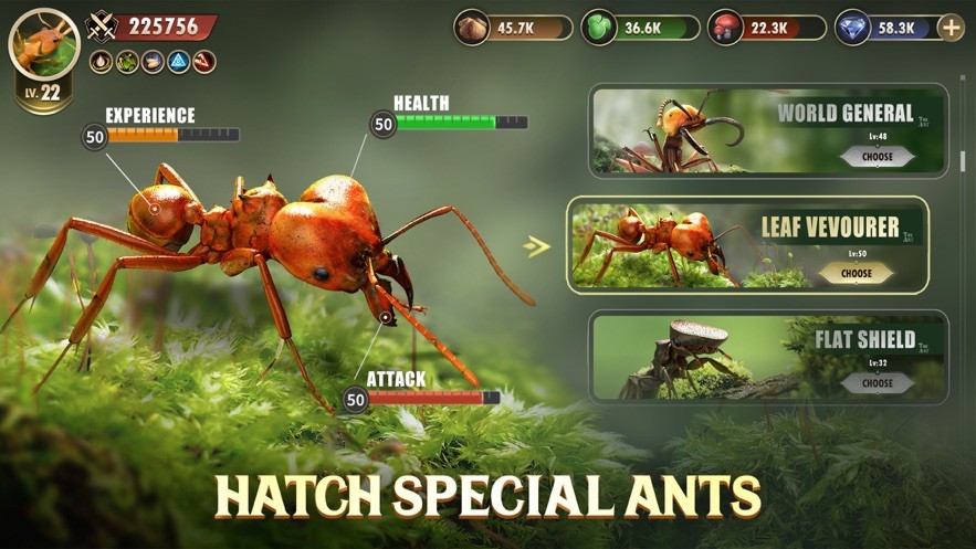 The Ants