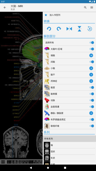 e-Anatomy中文版