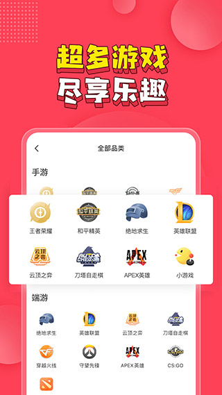 皮皮