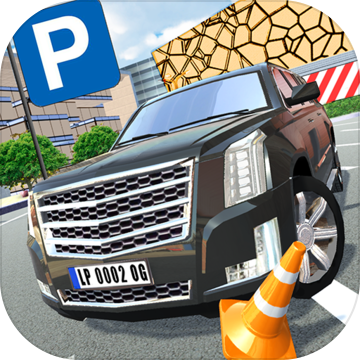 Luxury Parking