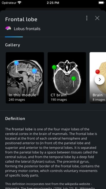 e-Anatomy
