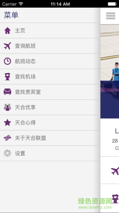 SkyTeam