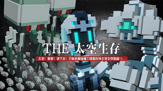 The Space Survivor