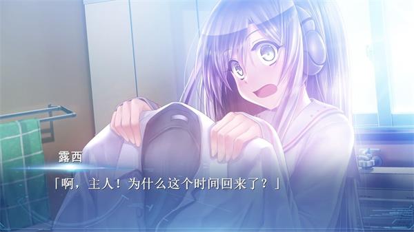 Lucy安装器