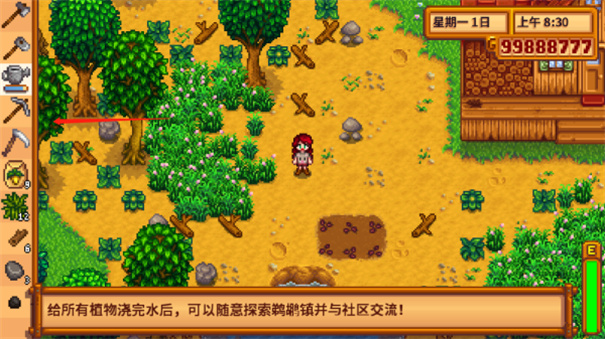 Stardew Valley