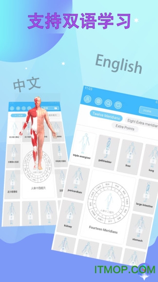 中医经络腧穴