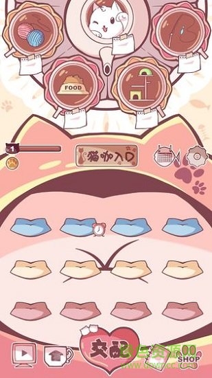 云撸猫咪