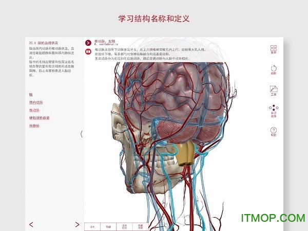 anatomy and physiology中文版软件