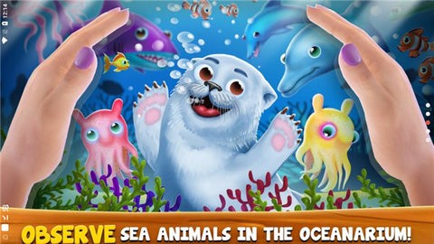 Zoo Craft