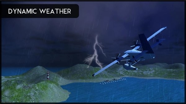 Avion Flight Simulator