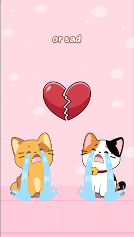 Duet Cats