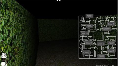 Project: SLENDER - Online