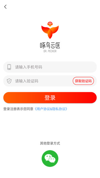 啄鸟云医