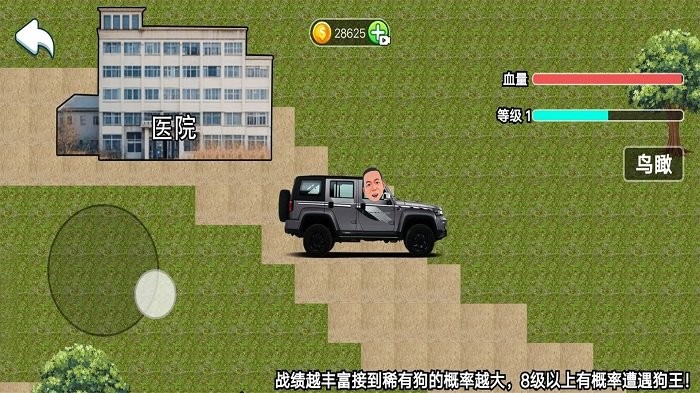玩狗园区