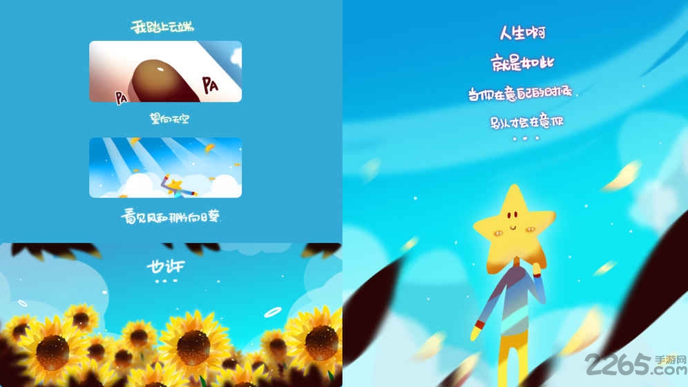 星星的天空之梦