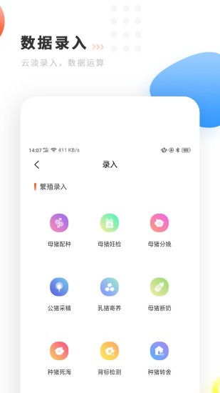 贵猪巧