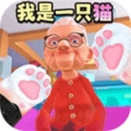 小猫咪大世界