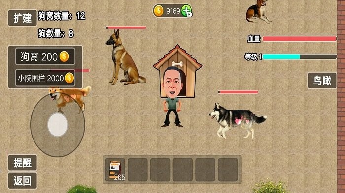 玩狗园区