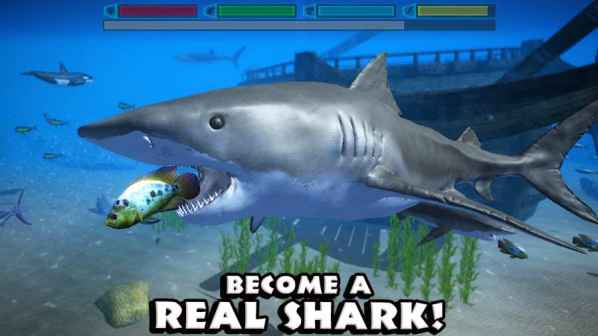 Shark Rampage: Hungry Shark