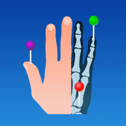 e-Anatomy中文版