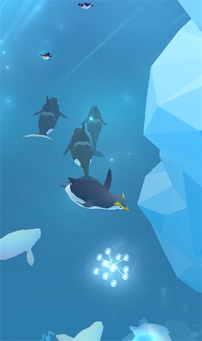深海水族馆极地（国际服）安装器