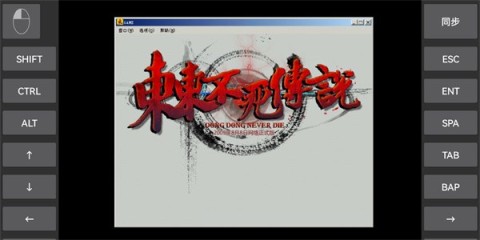 东东不死传说安装器